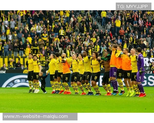 自由与飓风的首发阵容对决分析与战术解析